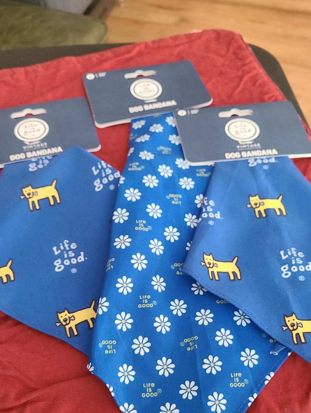Life Is Good  Blue Dog & Daisy Bandana Set